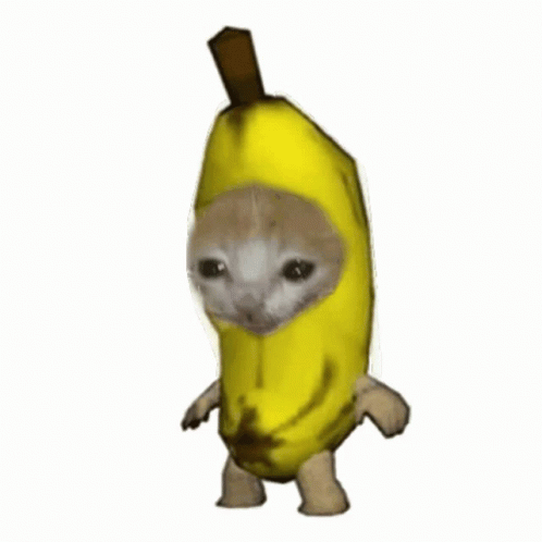 Banana Cat Banana Cat Descubre Y Comparte