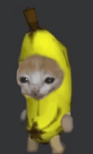 Banana Cat Banana Cat Discover Share Gifs