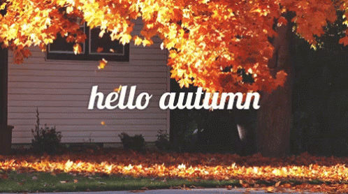 Hello Autumn - Fall GIF - Fall Hello Autumn GIFs