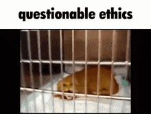 Half Life 1 Questionable Ethics GIF - Half Life 1 Questionable Ethics Half-life Chapters GIFs