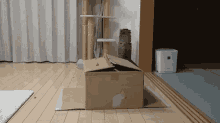 Kucing Cilukba GIF - Kitten Cat Hiding GIFs