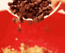 Chocolate Chip GIF - Chocolate Chip Flakes GIFs
