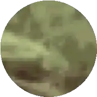 a pixelated image of a green circle