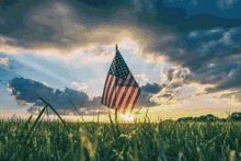 a small american flag is sticking out of the grass at sunset .