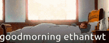 a cartoon of a person laying in a bed with the words good morning ethantwt below them