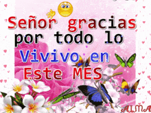 señor gracias por todo lo vivivo en este mes with butterflies and flowers