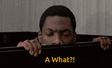 Trading Places GIF - Trading Places Eddie GIFs
