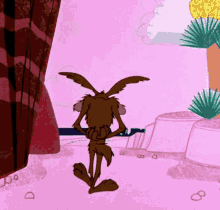 solution yes wile e coyote loony tunes gotit