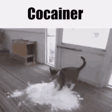 Cocainer GIF - Cocainer GIFs