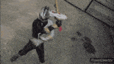 a person in a power ranger costume is standing in front of a power director logo