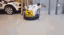Robot Vacuum Cat In Car GIF