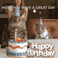 two cats are sitting next to a birthday cake with a candle .
