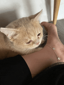 a cat laying on a person 's foot with a bracelet that has the letter x on it