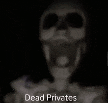 a blurry picture of a ceiling fan with the words dead privates written below it