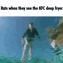 Rats When GIF