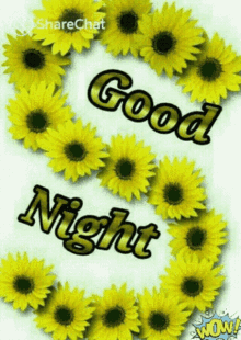 letter s goodnight yellow flowers sunflower