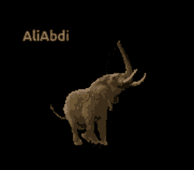 a statue of an elephant with the name aliabdi on the bottom