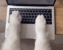 Keyboard Tapping GIF - Keyboard Tapping Dog GIFs