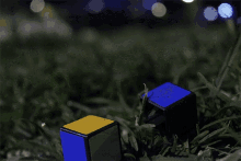 Rubick Dead GIF - Rubick Dead City GIFs