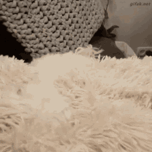 From Cute GIF - From Cute Adorable GIFs