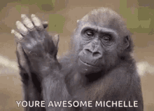 Monkey Youre Awesone Michelle GIF - Monkey Youre Awesone Michelle Slow Clap GIFs