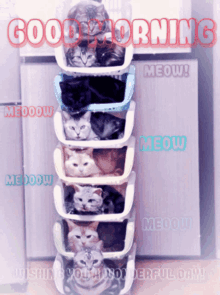 Good Morning Kitty GIF - Good Morning Kitty Cats GIFs