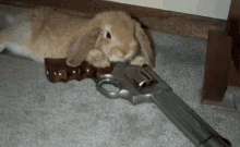 Bunny Criminal GIF - Bunny Criminal Bunny Criminal GIFs