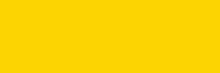 yellow army yellowbean yellow
