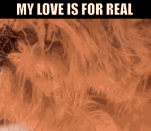 Paula Abdul My Love Is For Real GIF - Paula Abdul My Love Is For Real Dance GIFs