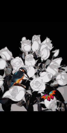 Butterfly Rose GIF - Butterfly Rose Roses GIFs