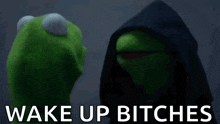 kermit the frog is standing next to a muppet wearing a black hood and the words wake up bitches are above them .