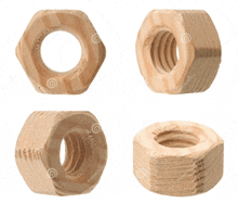 Wooden Nut Wood Nut GIF