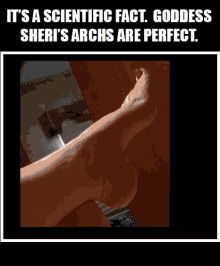 Archesperfect Perfect GIF - Archesperfect Perfect GIFs