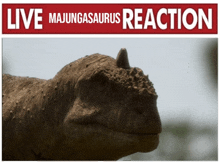 Majungasaurus GIF - Majungasaurus GIFs