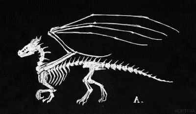 Skeleton Dragon GIF - Skeleton Dragon GIFs