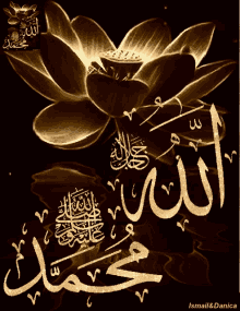 Nasserq Allah GIF - Nasserq Allah Lotus GIFs