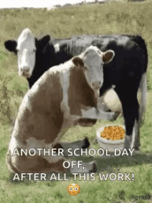 Cow Cereal GIF - Cow Cereal GIFs
