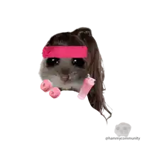 a picture of a hamster wearing a pink headband and a pink shaker