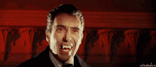 Vampire Red Background GIF - Vampire Red Background Scary GIFs