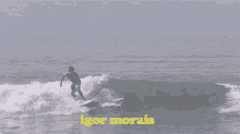 Igor Morais Flamboiar GIF - Igor Morais Flamboiar Surfista GIFs