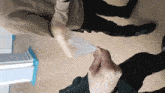 a person holding a piece of paper in their hand while another person stands behind them