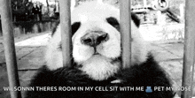 a panda bear is sitting in a cage and looking at the camera behind bars .