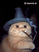 a cat wearing a wizard hat smoking a cigar