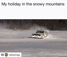 Rallying Snowdriving GIF - Rallying Snowdriving GIFs