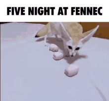 Fennec Fennec Fox GIF - Fennec Fennec Fox Fox GIFs