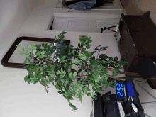 Remodeling GIF - Remodeling GIFs