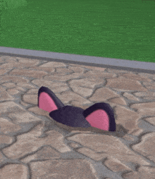 Epic Minigames Round Cat GIF - Epic Minigames Round Cat GIFs