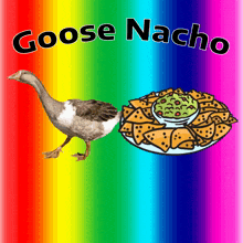 a goose standing next to a plate of nachos with guacamole on it