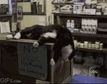 Cat Falling GIF - Cat Falling Sleeping GIFs