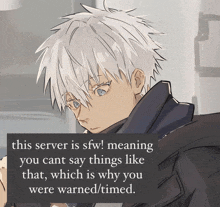 a drawing of a man with a caption that says this server is sfw